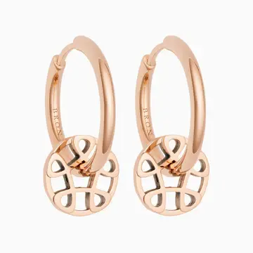 Bron Aanhangers Toujours Ajour