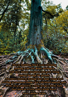 Jenny Front Final.png