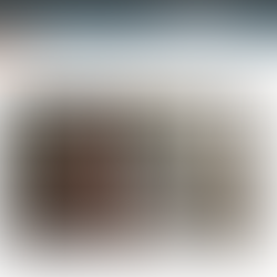 The Publishing Academy: What we have achieved... and where we want to go next!