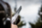 AdobeStock_309154705.jpeg