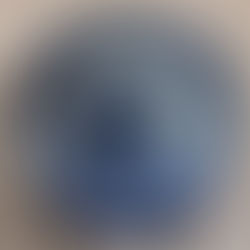 伊万里染付大皿 2