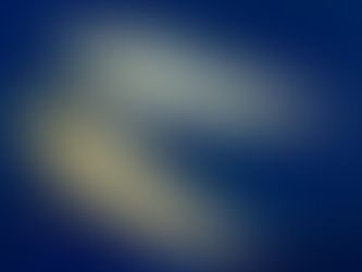 『金銀双鯉』 群 青