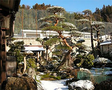 オープンガーデン1