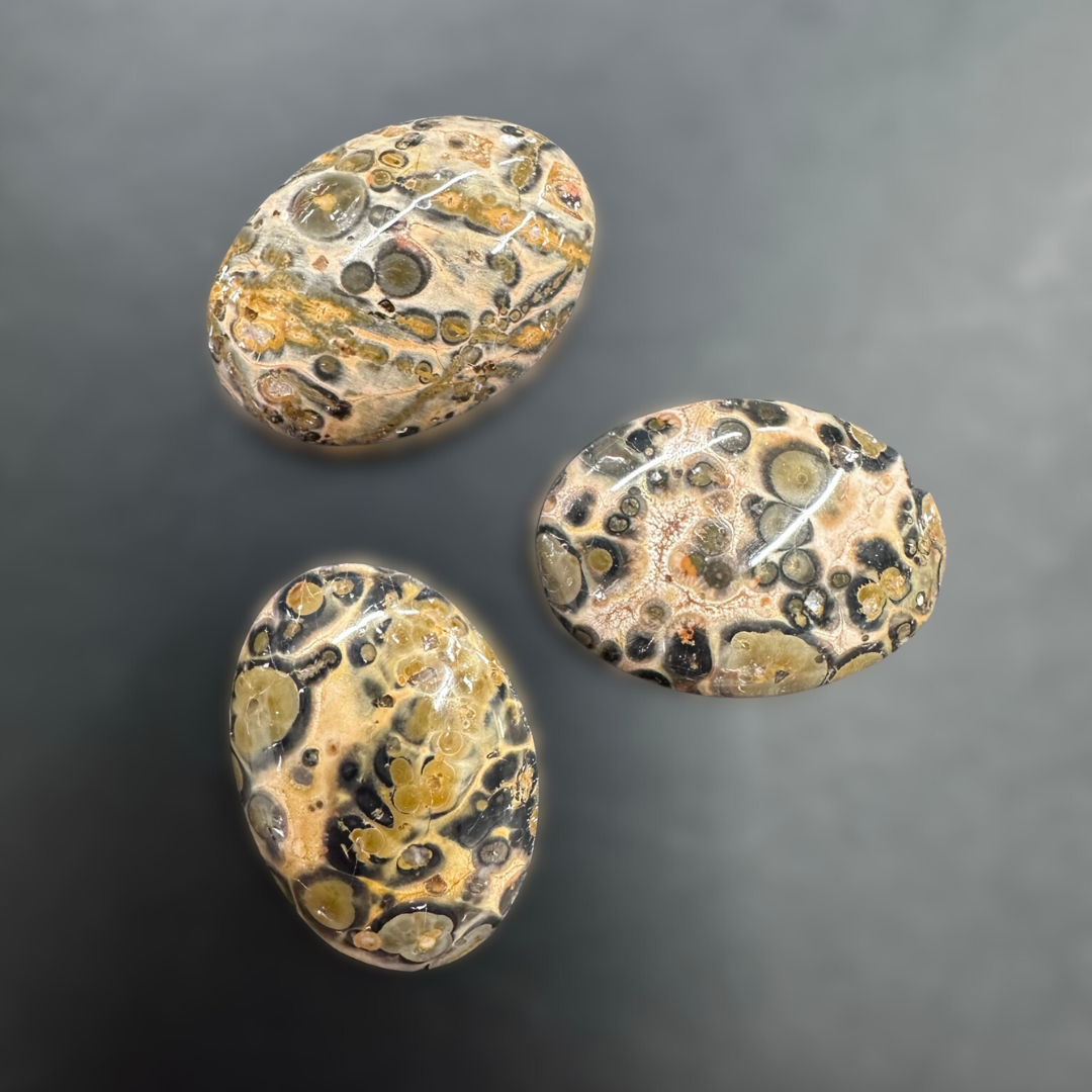 Leopard Skin Jasper Cabochon, Oval