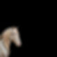 DBE514D5-3797-4552-B775-90CF1AC0ABB9.JPEG