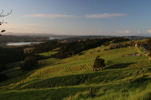 TMFD - Mahurangi West -01.jpg