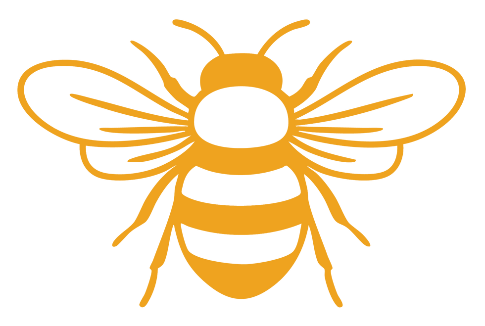 Pimokabo_Logo-01_edited.png