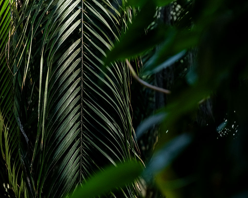 SB x TWC-19.jpg