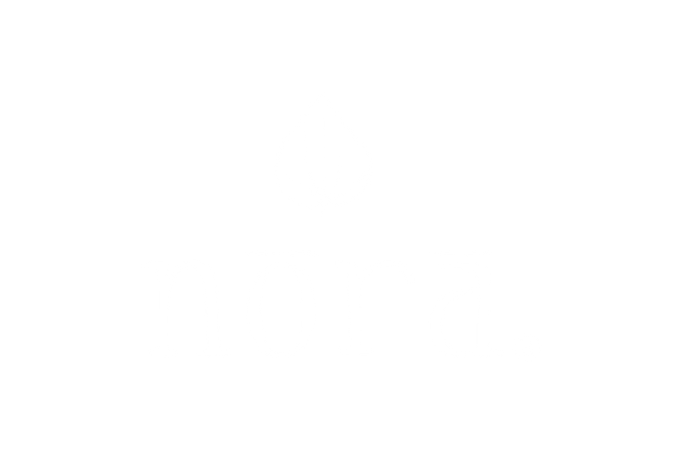 Nora Logo RGB-14.png