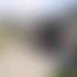 Solid Wall fence with aluminium slat slide gate