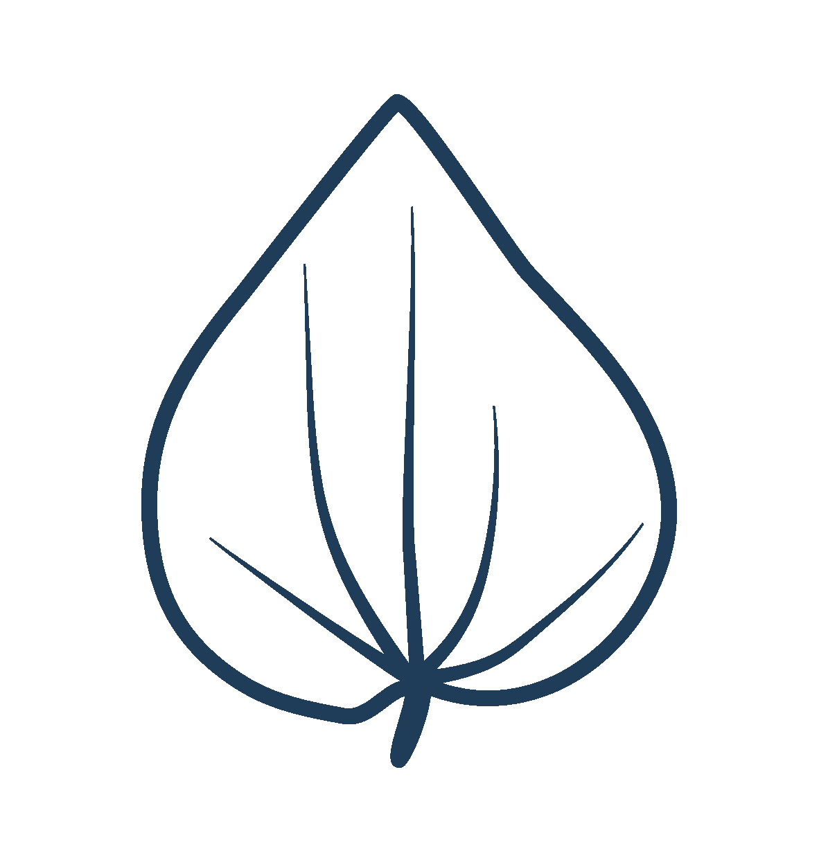 Nora Logo RGB-05.png