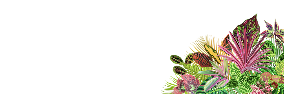 FOOTER FOR BAIRIKI.png