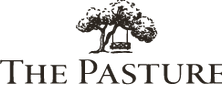 Asset 2_edited.png