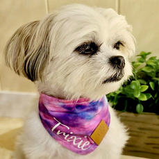 TRIXIE