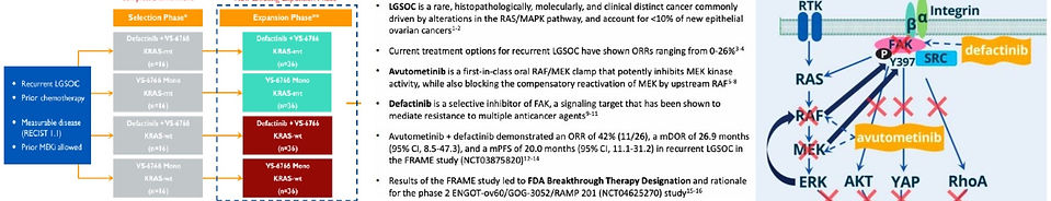 Screenshot 2025-05-06 135748.jpg