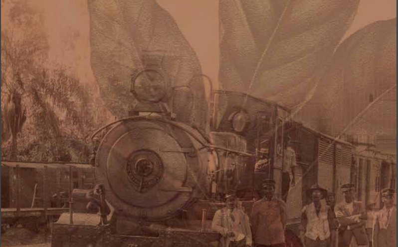 Captura de Tela 2023-02-17 às 16.47.29.png