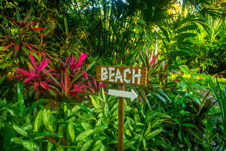 Beach is this way