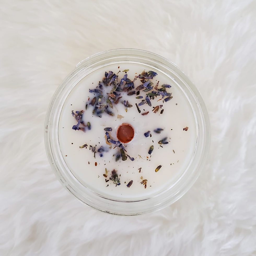 Thumbnail: Dog Lover