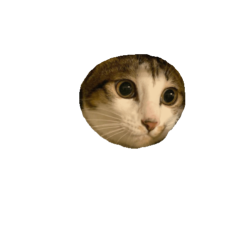 Untitled_Artwork 11.gif