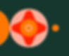 Alta Garden Route_Web 2.jpg