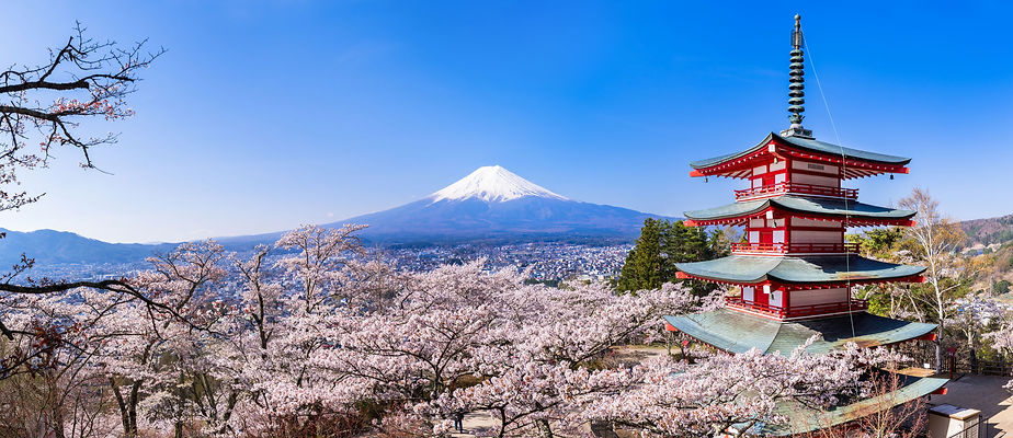 Armoroof-Japan-Mt-Fuji-cherry-blossoms-hero.jpeg