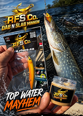 RFS Co. Dab N' Slab Minnow Series