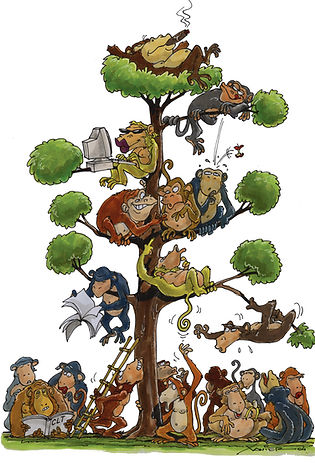 Ilustra manual