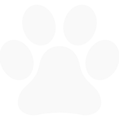 pata-de-animal.png