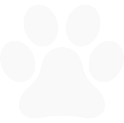 pata-de-animal.png