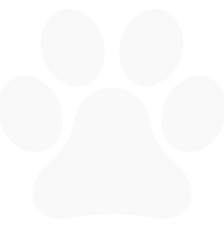 pata-de-animal.png