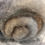 Thumbnail: Hand dyed Finnsheep batt 052