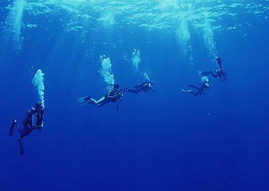 A74430BB-4D58-4FFC-8E12-B9B37D0BCC5D_1_105_c.jpeg