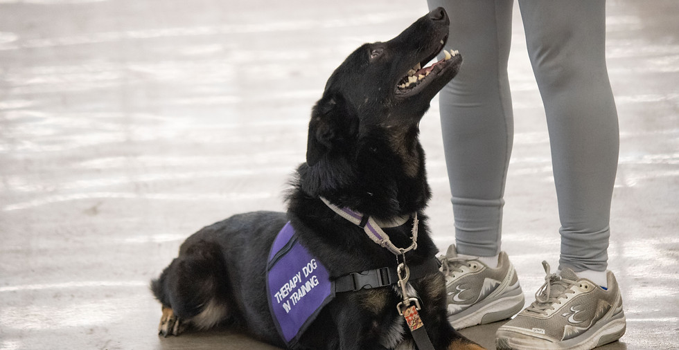 ServeAndSupportK9AcademyBurlingtonIowa9.jpg
