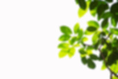 AdobeStock_178793479.jpeg