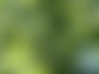 野菜ソムリエコミュニティあきた　県南地区学習会