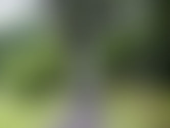 北限のお茶「檜山茶」産地見学　〜茶小屋〜