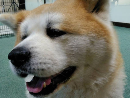 県北地区学習会