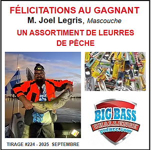 2025 09 Tir #224 d.png