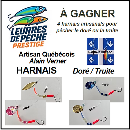 À Gagner Harnais Québec.png
