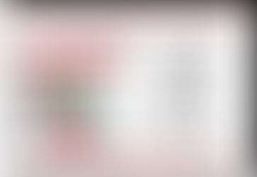 NOUVEAU CIRCUIT DE PÊCHE À L'ACHIGAN - EXCELLENCE BASS