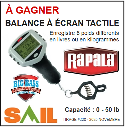 2025 11 Tir #228