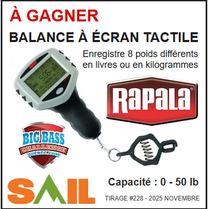 2025 11 Tir #228.png