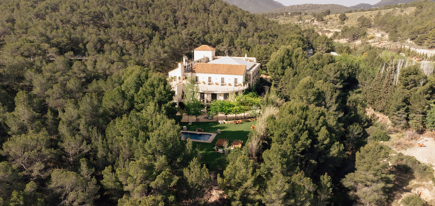 03052025-DJI_0810.jpg