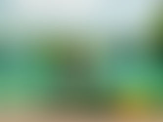 Aquatic Weed Rake Guide: Removing Pond Weeds Without Harsh Chemicals