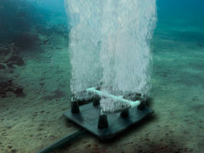 Pond Aerators vs. Fountains: Which One Is Right for You?