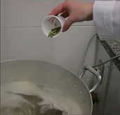 Momento da adição do lúpulo ao mosto da cerveja