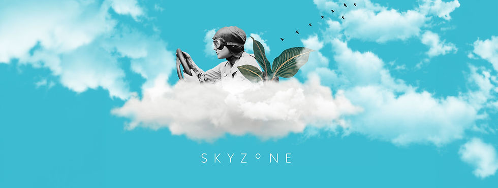 Skyzone hero image