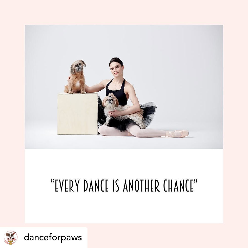 Image from Dance for Paws Instagram account
