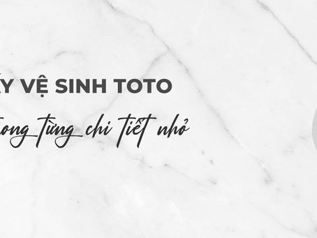 Tong hop 100++ mau lo giay ve sinh TOTO chinh hang