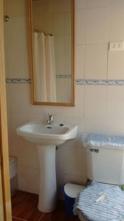 Baño individual. Departamento 1